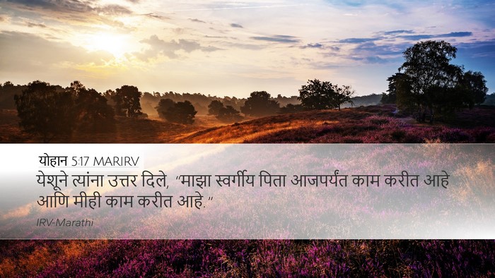 योहान 5:17 MARIRV Bible Verse Image
