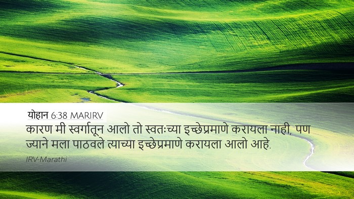 योहान 6:38 MARIRV Bible Verse Image