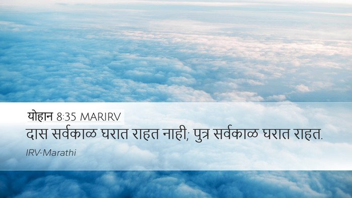 योहान 8:35 MARIRV Bible Verse Image