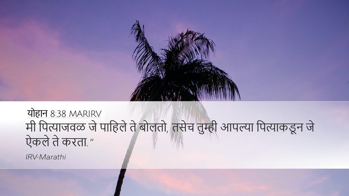 योहान 8:38 MARIRV Bible Verse Image