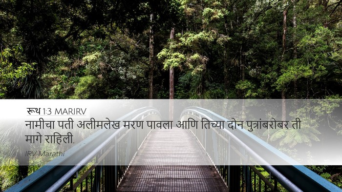 रूथ 1:3 MARIRV Desktop Wallpaper - नामीचा पती - Desktop Bible Verse Wallpaper