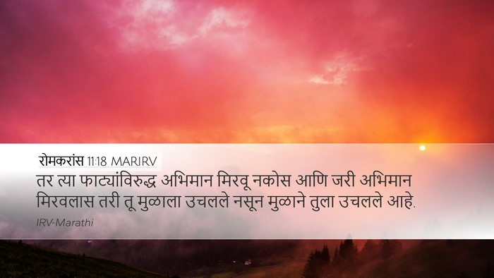 रोमकरांस 11:18 MARIRV Bible Verse Image