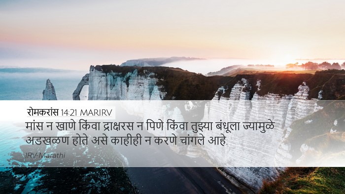 रोमकरांस 14:21 MARIRV Bible Verse Image