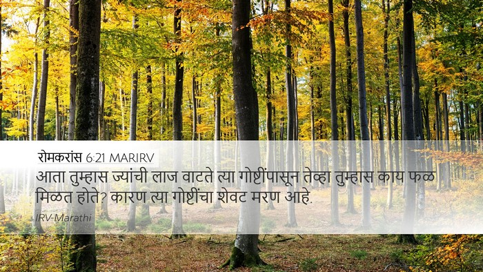 रोमकरांस 6:21 MARIRV Bible Verse Image