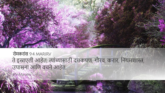 रोमकरांस 9:4 MARIRV Bible Verse Image