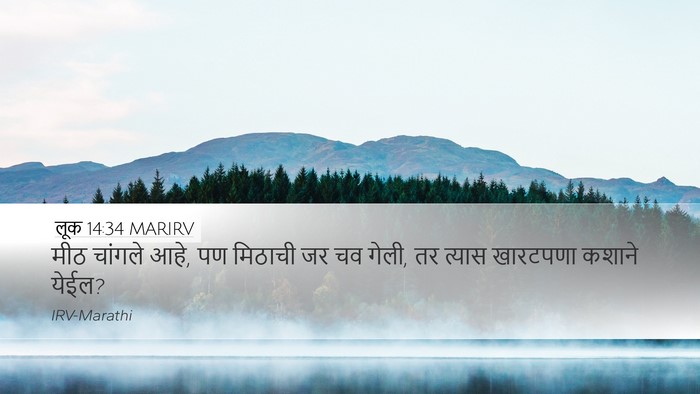 लूक 14:34 MARIRV Bible Verse Image