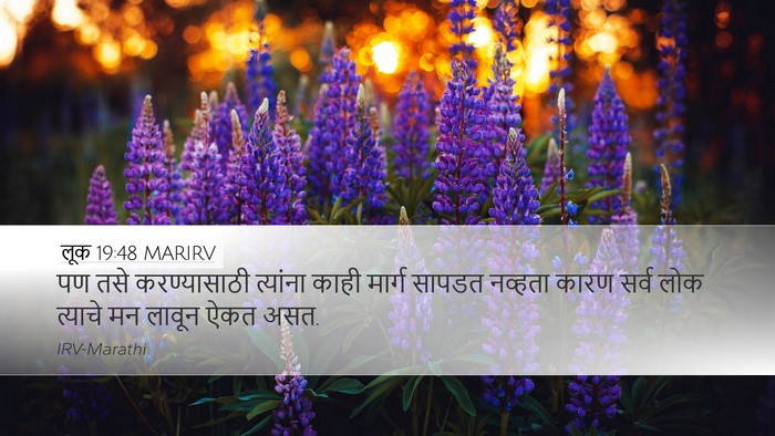 लूक 19:48 MARIRV Bible Verse Image