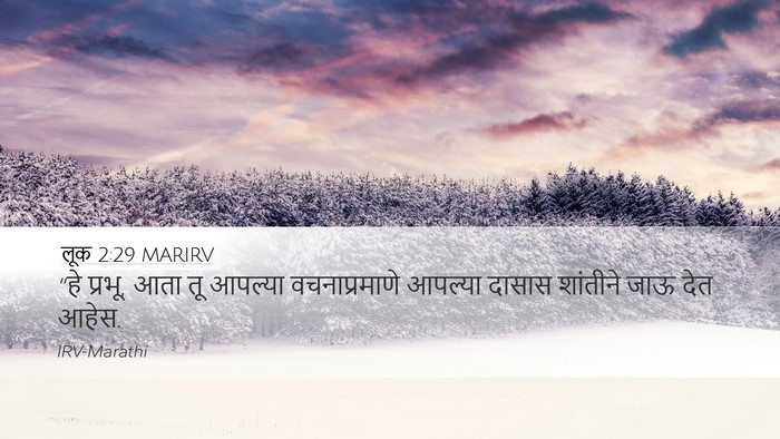 लूक 2:29 MARIRV Bible Verse Image