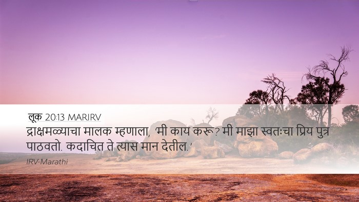 लूक 20:13 MARIRV Desktop Wallpaper - द्राक्षमळ्याचा - Desktop Bible Verse Wallpaper