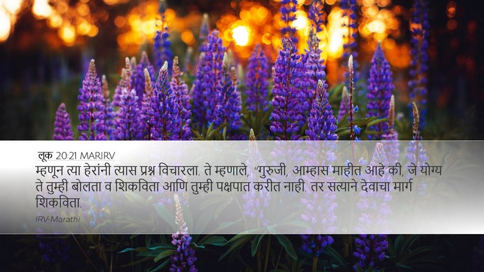 लूक 20:21 MARIRV Bible Verse Image