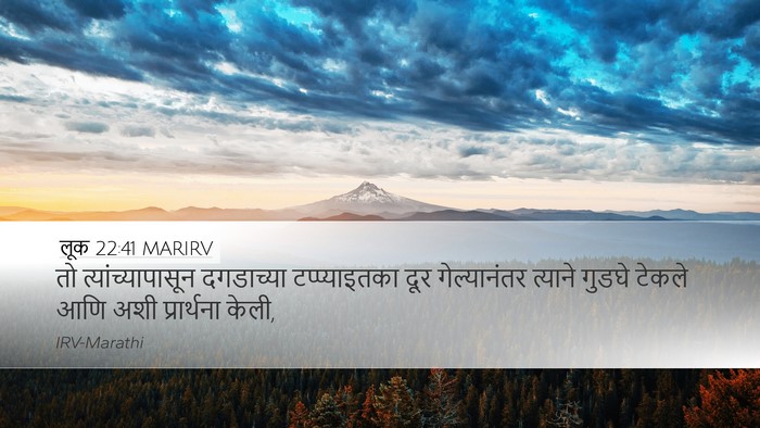 लूक 22:41 MARIRV Bible Verse Image