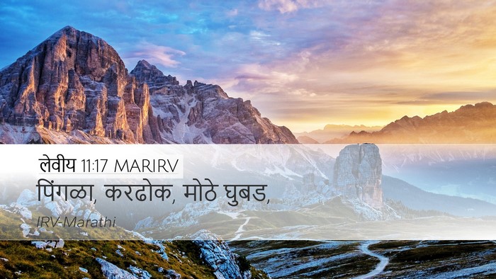 लेवीय 11:17 MARIRV Desktop Wallpaper - पिंगळा, करढोक, मोठे - Desktop Bible Verse Wallpaper