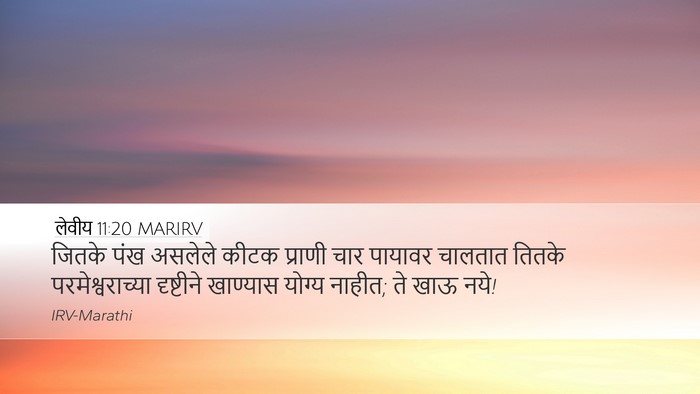 लेवीय 11:20 MARIRV Bible Verse Image