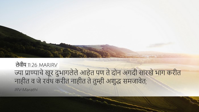 लेवीय 11:26 MARIRV Bible Verse Image