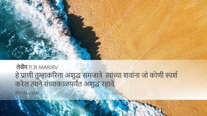 लेवीय 11:31 MARIRV Bible Verse Image