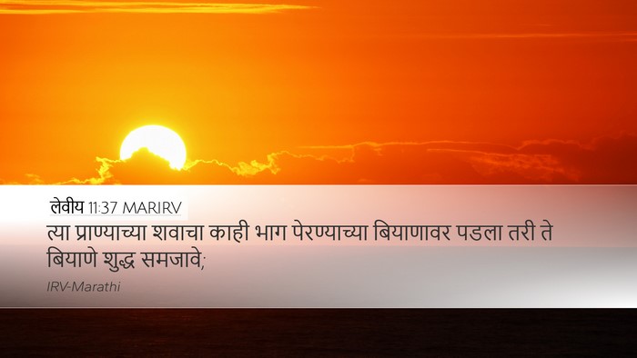 लेवीय 11:37 MARIRV Desktop Wallpaper - त्या प्राण्याच्या - Desktop Bible Verse Wallpaper