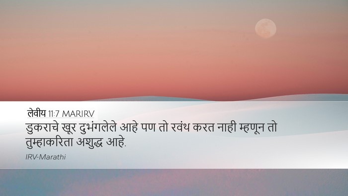 लेवीय 11:7 MARIRV Bible Verse Image