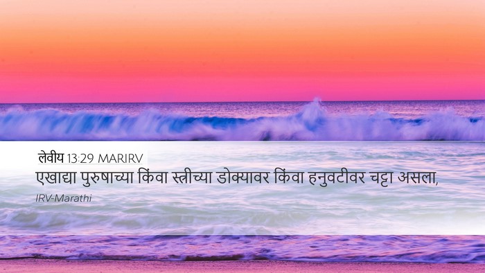 लेवीय 13:29 MARIRV Bible Verse Image