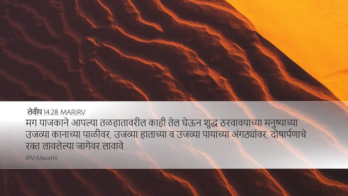 लेवीय 14:28 MARIRV Bible Verse Image