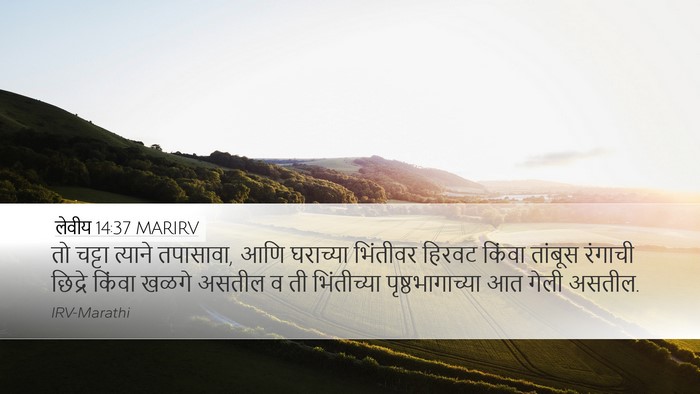 लेवीय 14:37 MARIRV Desktop Wallpaper - तो चट्टा त्याने - Desktop Bible Verse Wallpaper