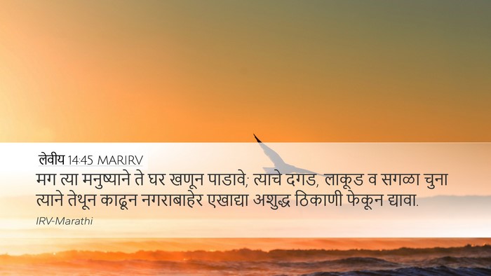 लेवीय 14:45 MARIRV Desktop Wallpaper - मग त्या मनुष्याने - Desktop Bible Verse Wallpaper