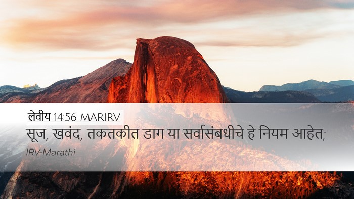 लेवीय 14:56 MARIRV Bible Verse Image