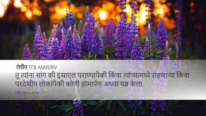 लेवीय 17:8 MARIRV Bible Verse Image