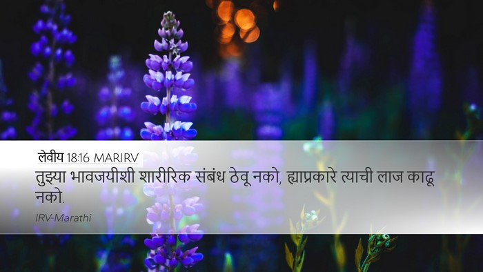 लेवीय 18:16 MARIRV Bible Verse Image