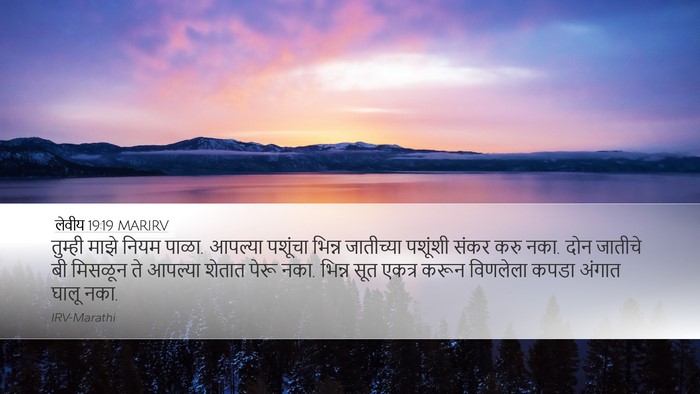 लेवीय 19:19 MARIRV Bible Verse Image