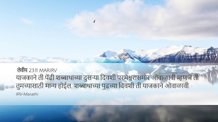 लेवीय 23:11 MARIRV Desktop Wallpaper - याजकाने ती पेंढी - Desktop Bible Verse Wallpaper
