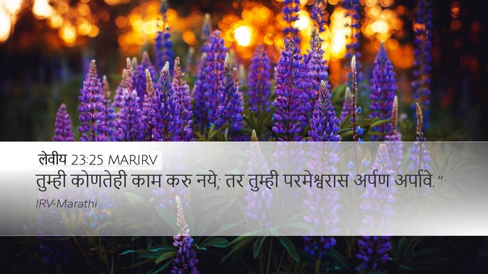 लेवीय 23:25 MARIRV Bible Verse Image