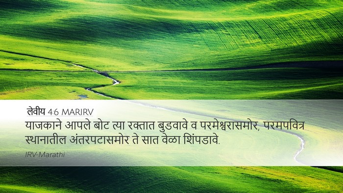 लेवीय 4:6 MARIRV Desktop Wallpaper - याजकाने आपले बोट - Desktop Bible Verse Wallpaper