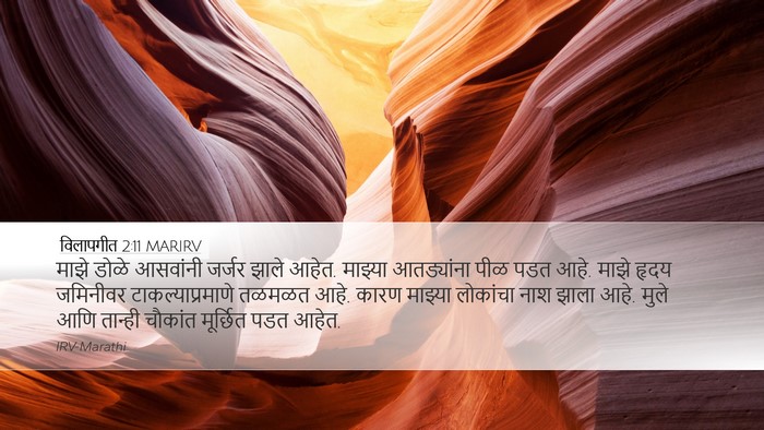 विलापगीत 2:11 MARIRV Bible Verse Image