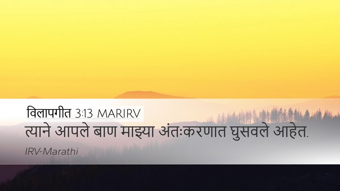 विलापगीत 3:13 MARIRV Bible Verse Image