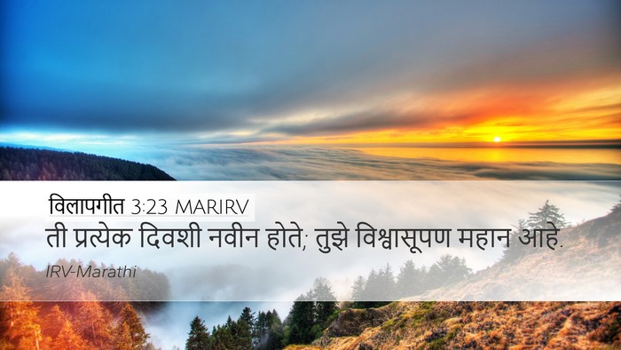 विलापगीत 3:23 MARIRV Bible Verse Image