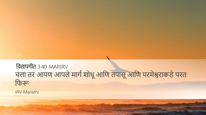 विलापगीत 3:40 MARIRV Bible Verse Image