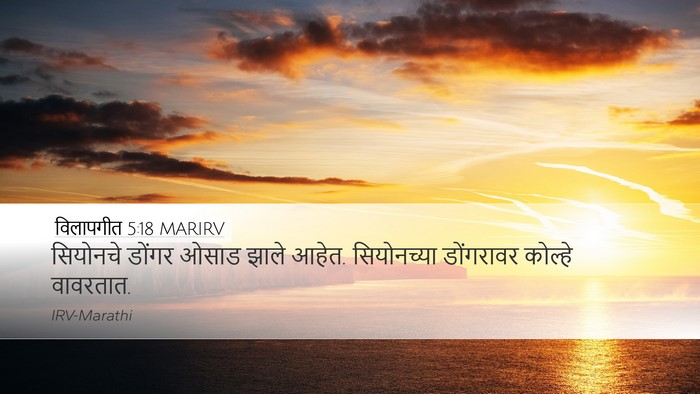विलापगीत 5:18 MARIRV Bible Verse Image