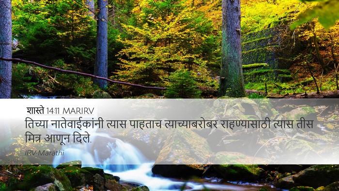 शास्ते 14:11 MARIRV Bible Verse Image