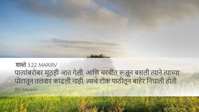 शास्ते 3:22 MARIRV Desktop Wallpaper - पात्यांबरोबर - Desktop Bible Verse Wallpaper
