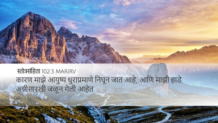 स्तोत्रसंहिता 102:3 MARIRV Bible Verse Image