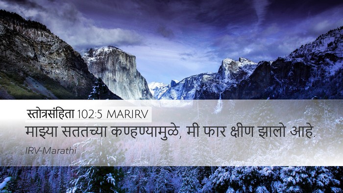 स्तोत्रसंहिता 102:5 MARIRV Bible Verse Image