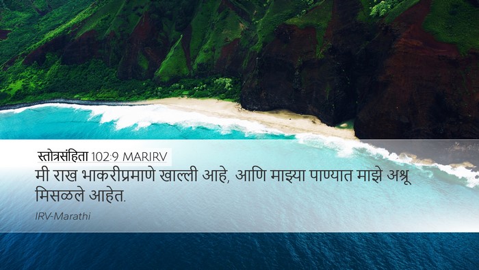 स्तोत्रसंहिता 102:9 MARIRV Bible Verse Image