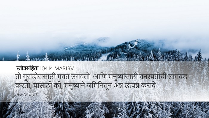 स्तोत्रसंहिता 104:14 MARIRV Bible Verse Image