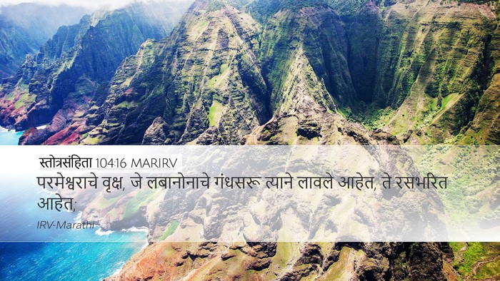 स्तोत्रसंहिता 104:16 MARIRV Bible Verse Image