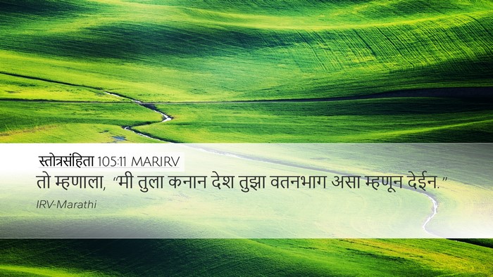 स्तोत्रसंहिता 105:11 MARIRV Bible Verse Image