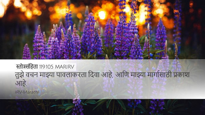 स्तोत्रसंहिता 119:105 MARIRV Bible Verse Image