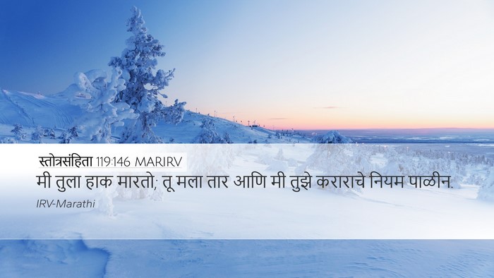 स्तोत्रसंहिता 119:146 MARIRV Desktop Wallpaper - मी तुला हाक मारतो; - Desktop Bible Verse Wallpaper
