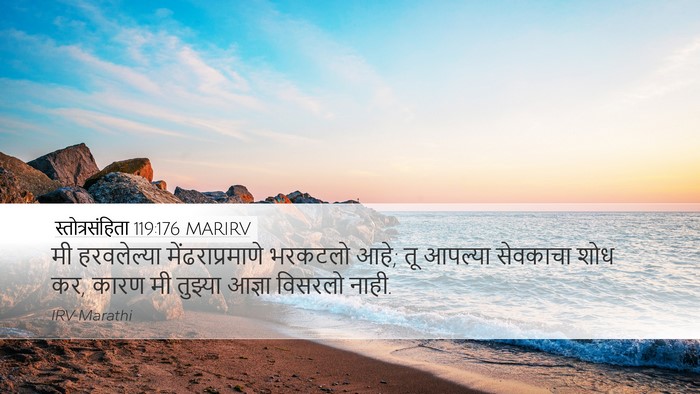 स्तोत्रसंहिता 119:176 MARIRV Bible Verse Image