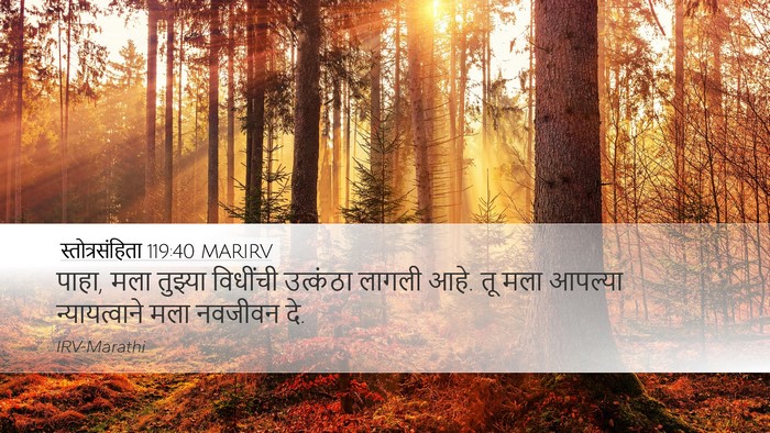 स्तोत्रसंहिता 119:40 MARIRV Bible Verse Image