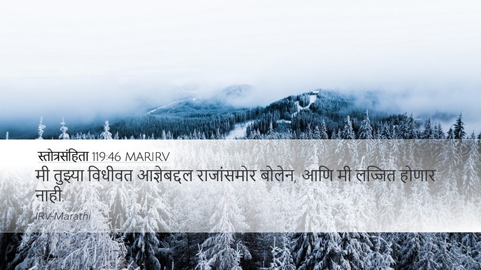 स्तोत्रसंहिता 119:46 MARIRV Bible Verse Image